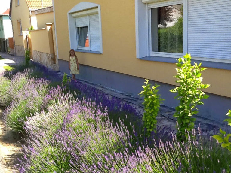Lilla Apartman (Mór)