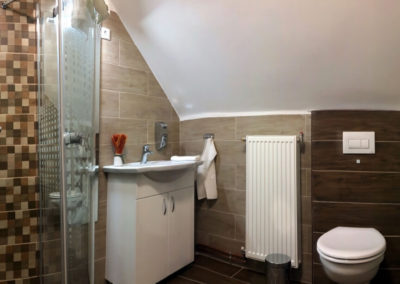 SeSil Apartman (Pusztavám) - fürdőszoba