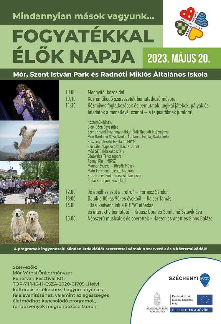 Fogyatékkal élők napja - plakát