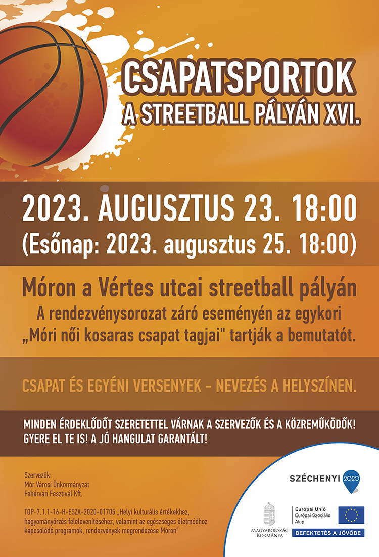 Csapatsportok a streetball-pályán XVI. - plakát