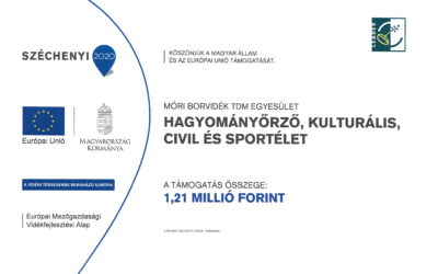 HAGYOMÁNYŐRZŐ, KULTURÁLIS, CIVIL ÉS SPORTÉLET TÁMOGATÁSA A HELYI FELHÍVÁS KÓDSZÁMA: VP6-19.2.1.-94-4-17