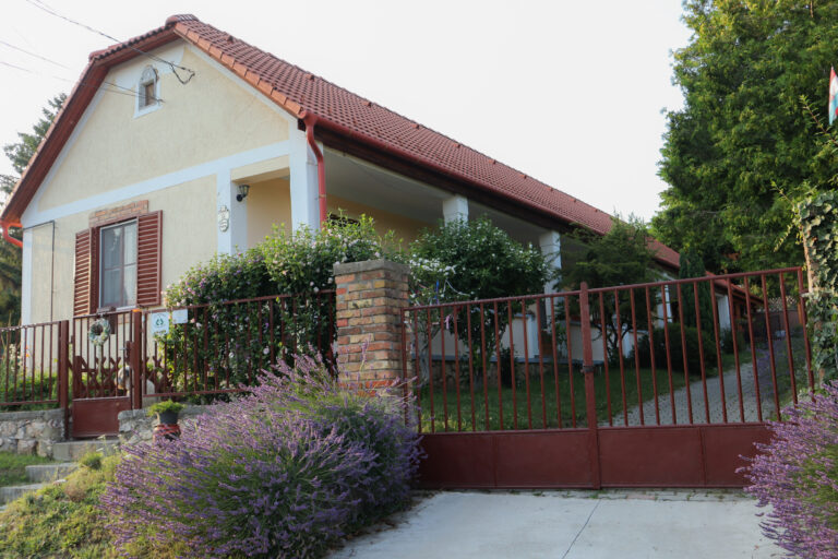 Vár-LAK porta, Csókakó