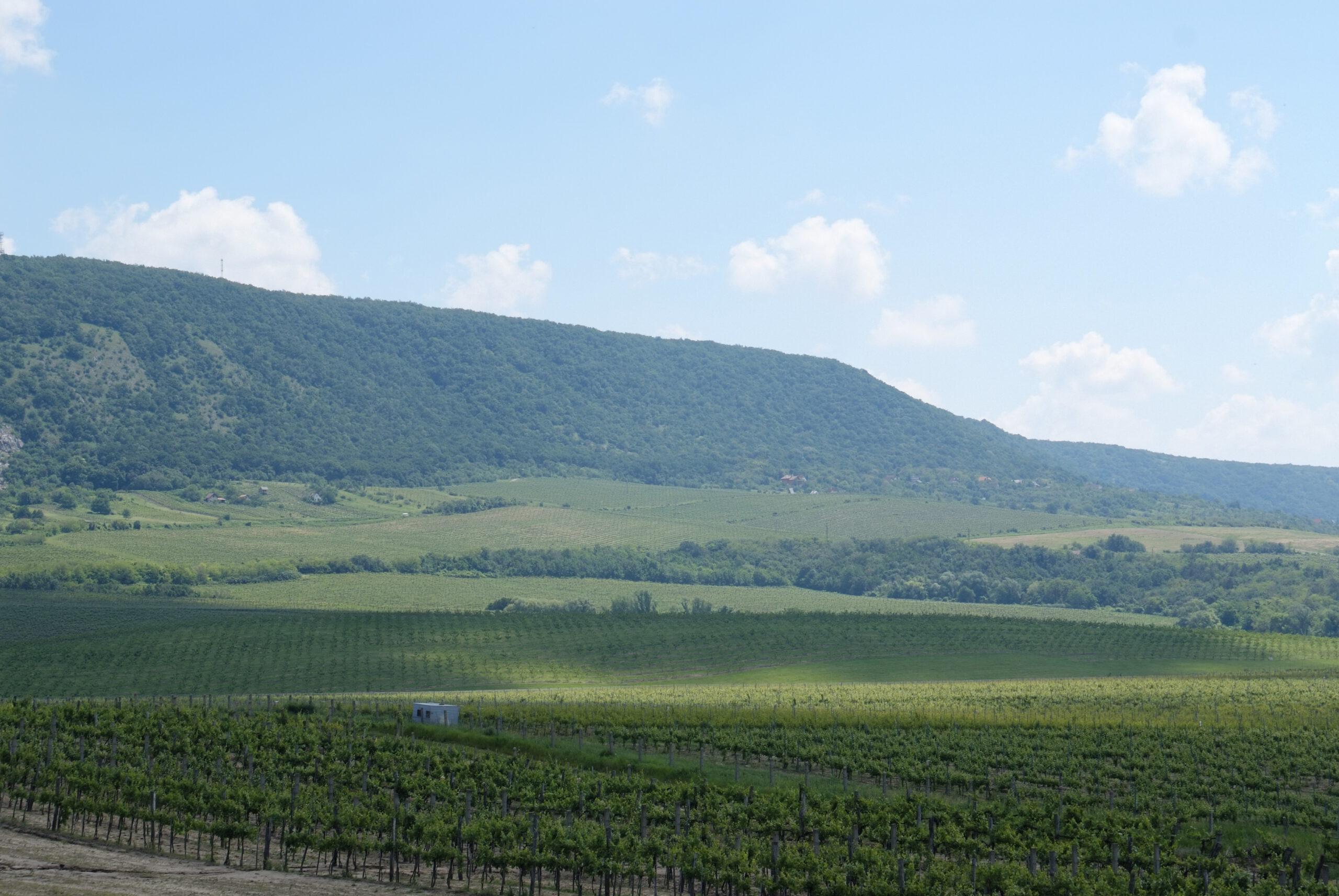 Csakvar-Esterhazy-400x400