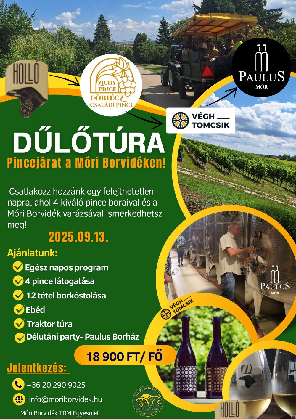 Dűlőtúra – Pincejárat a Móri Borvidéken!