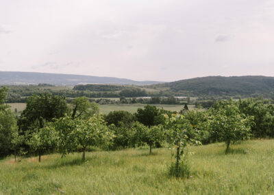 Egres Kert Vendégház - Balinka
