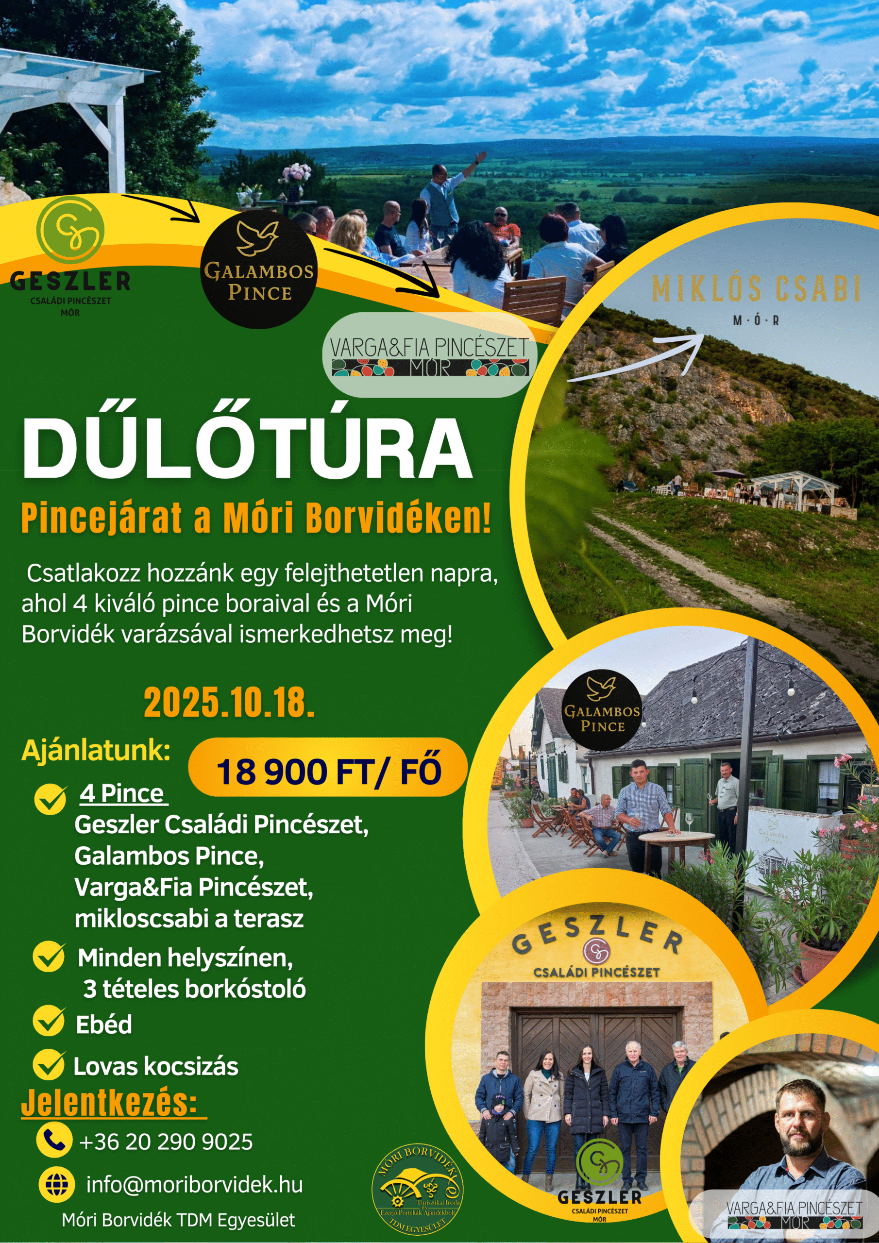 Dűlőtúra 2025.10.18
