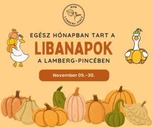 Libanapok 2025.11.05.-30.