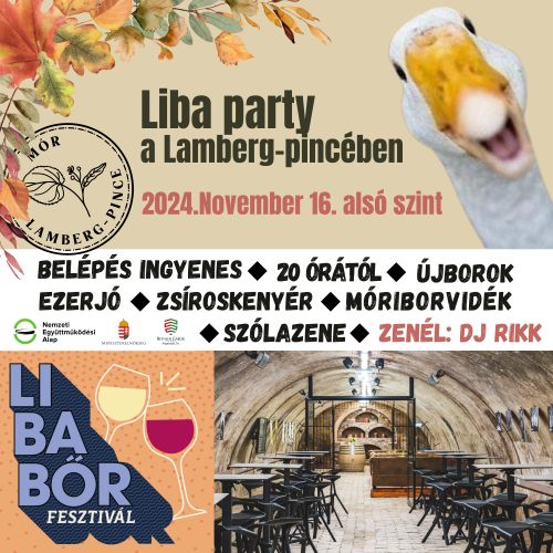 Libaest a Lamberg-pincében Wo